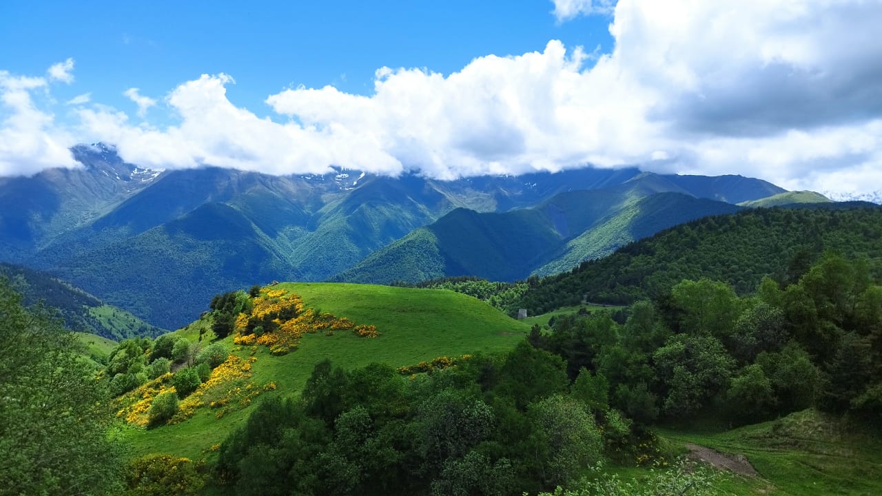 Лайт. Кавказская мозаика! (31/229)