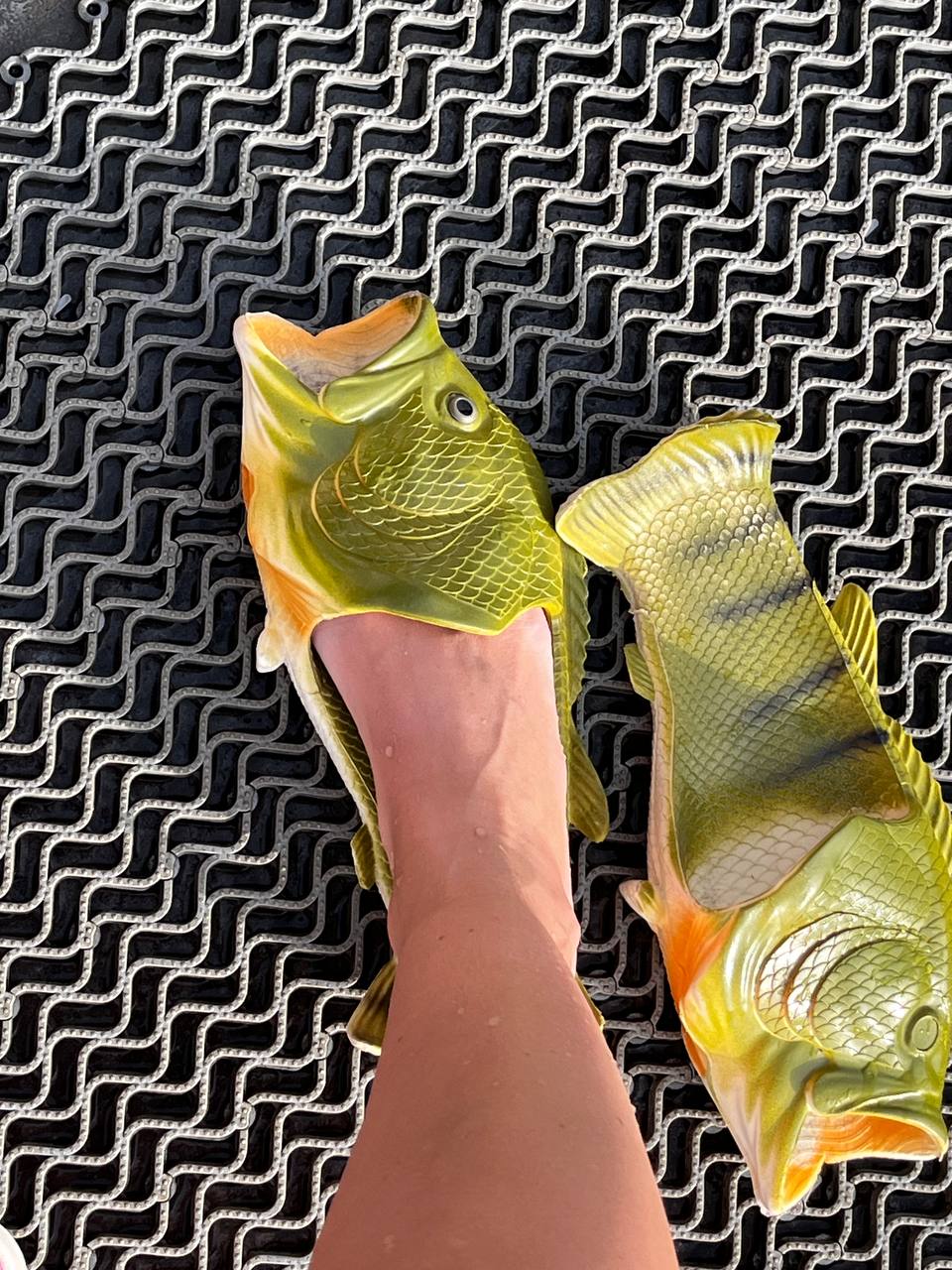 Лайт. Кавказская мозаика! (197/229)