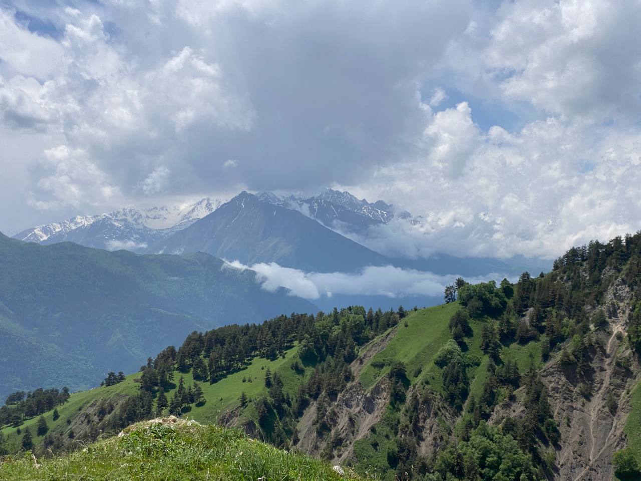 Лайт. Кавказская мозаика! (72/229)