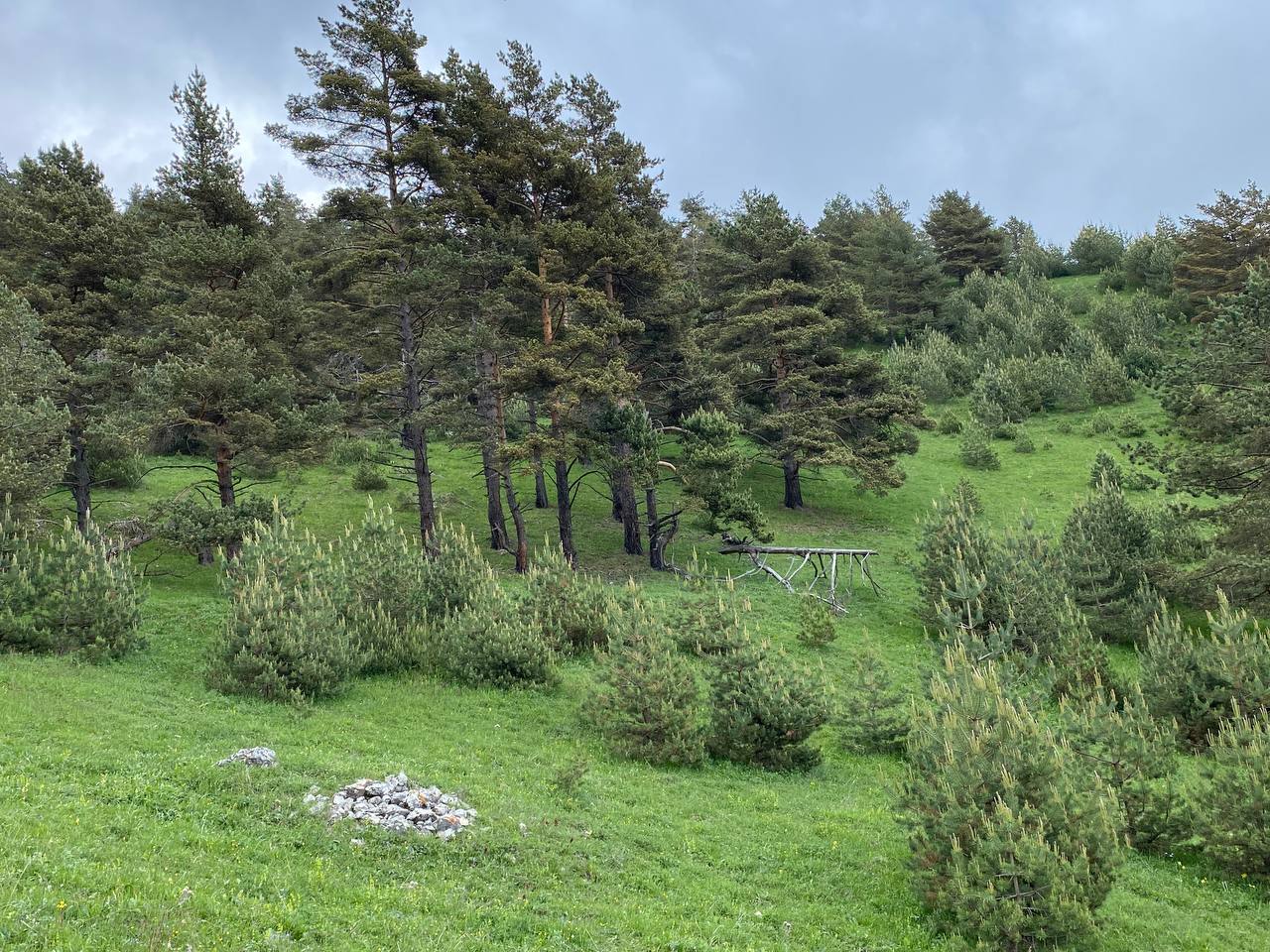 Лайт. Кавказская мозаика! (51/229)