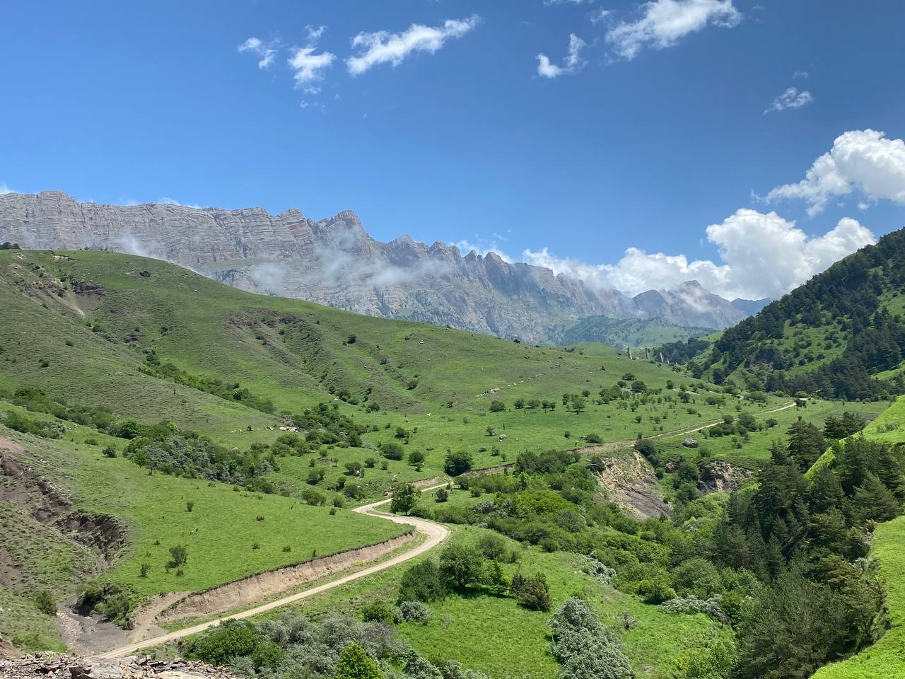 Лайт. Кавказская мозаика! (83/229)