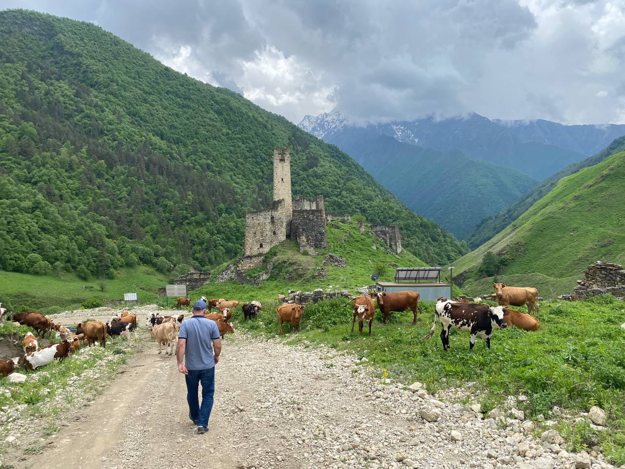 Лайт. Кавказская мозаика! (61/229)