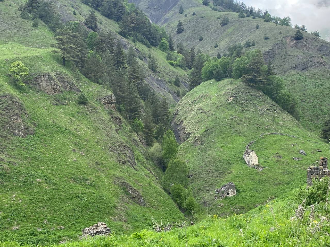 Лайт. Кавказская мозаика! (56/229)