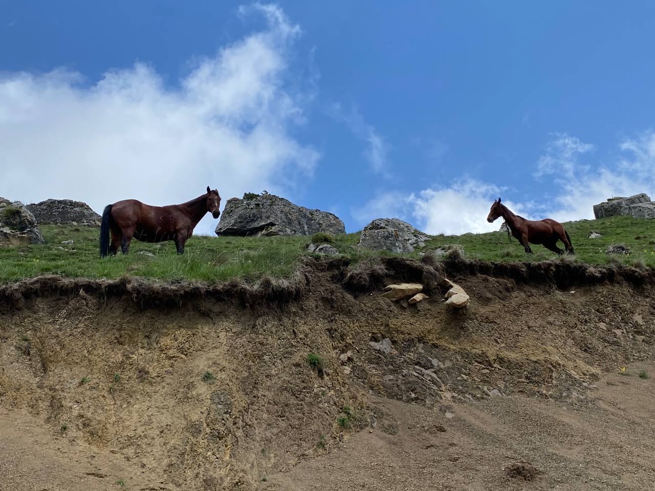 Лайт. Кавказская мозаика! (53/229)