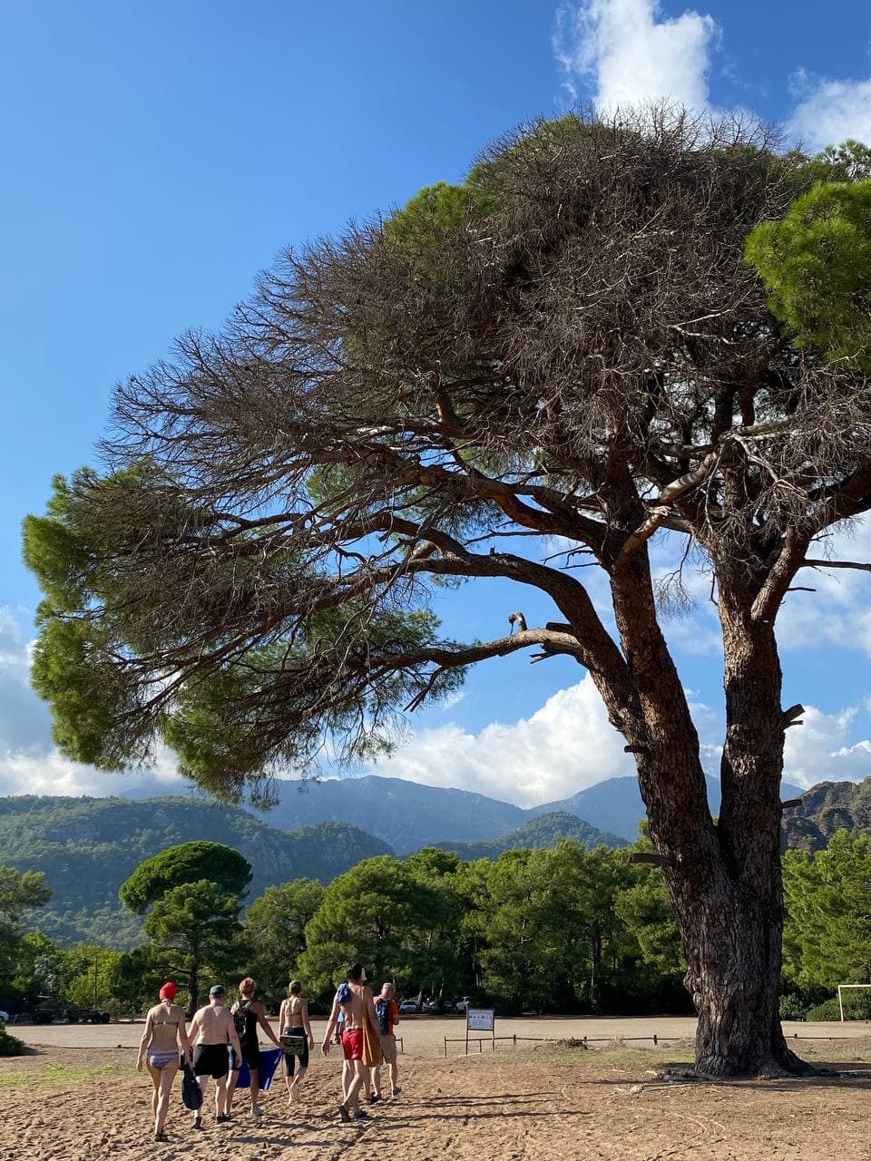 Без рюкзаков по Ликийской тропе: через горы к морю налегке, Турция поход - 7 дней (6/39)