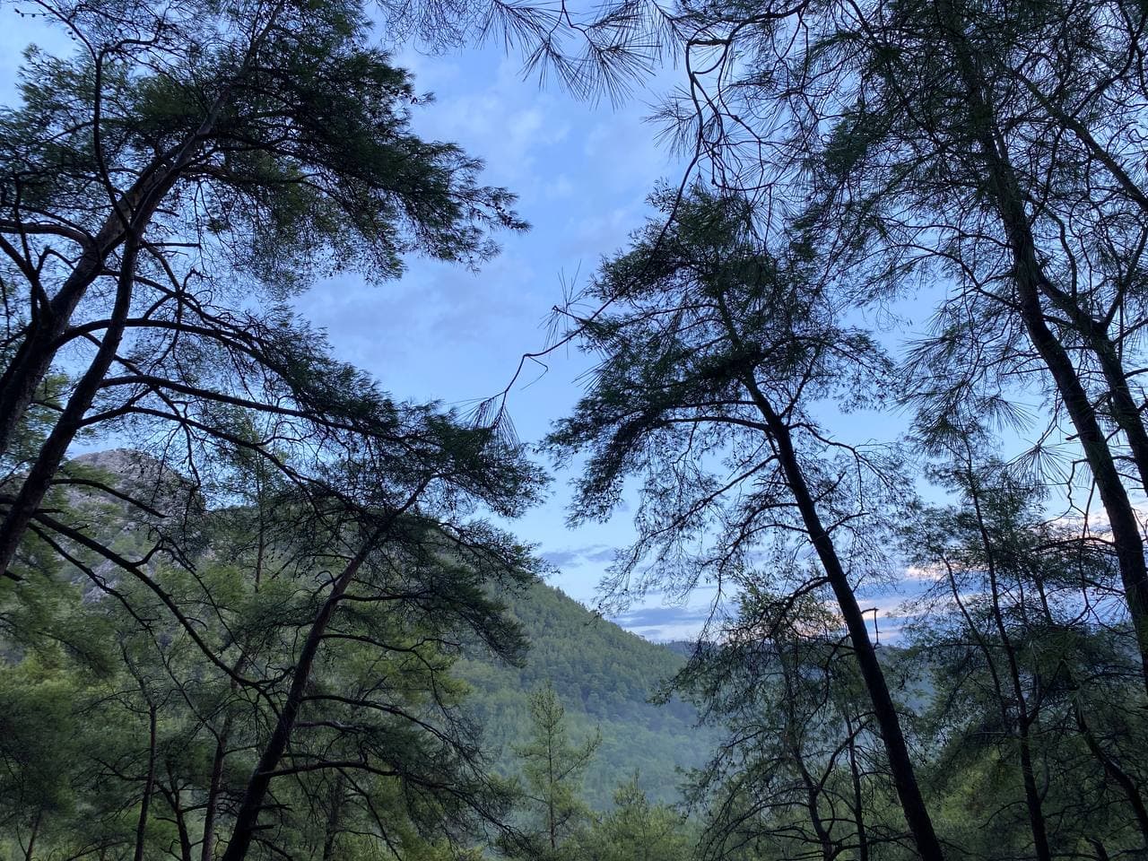 Без рюкзаков по Ликийской тропе: через горы к морю налегке, Турция поход - 7 дней (8/39)