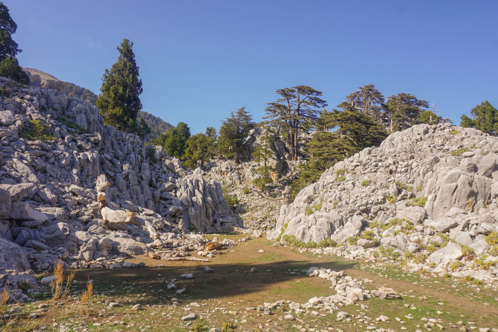 Без рюкзаков по Ликийской тропе: через горы к морю налегке, Турция поход - 7 дней (14/39)
