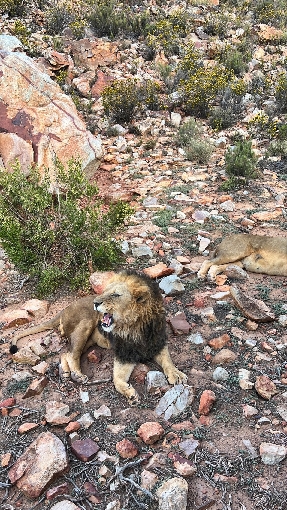 Юар: Путешествие на край Земли (70/124)