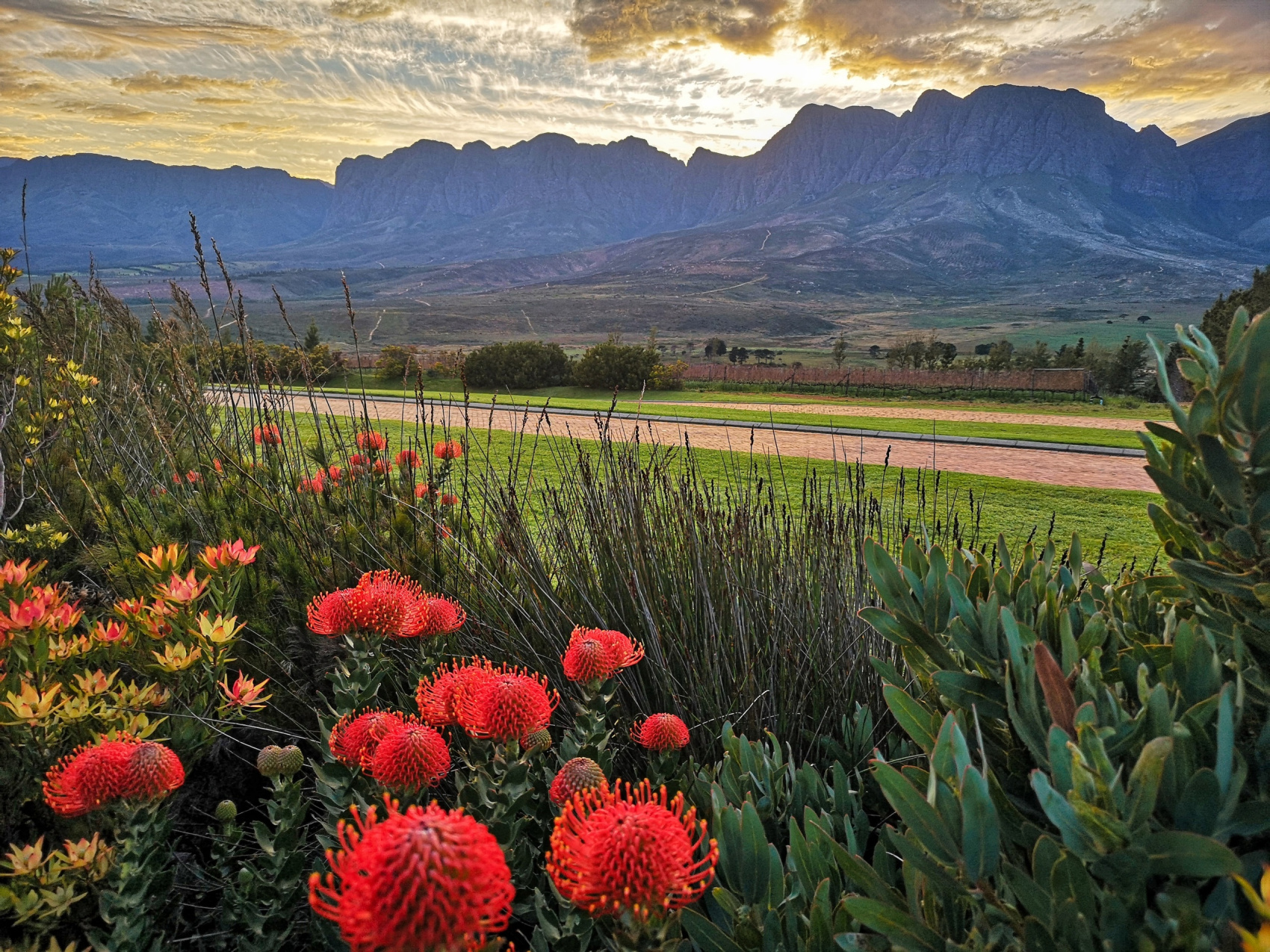 Юар: Путешествие на край Земли (40/124)