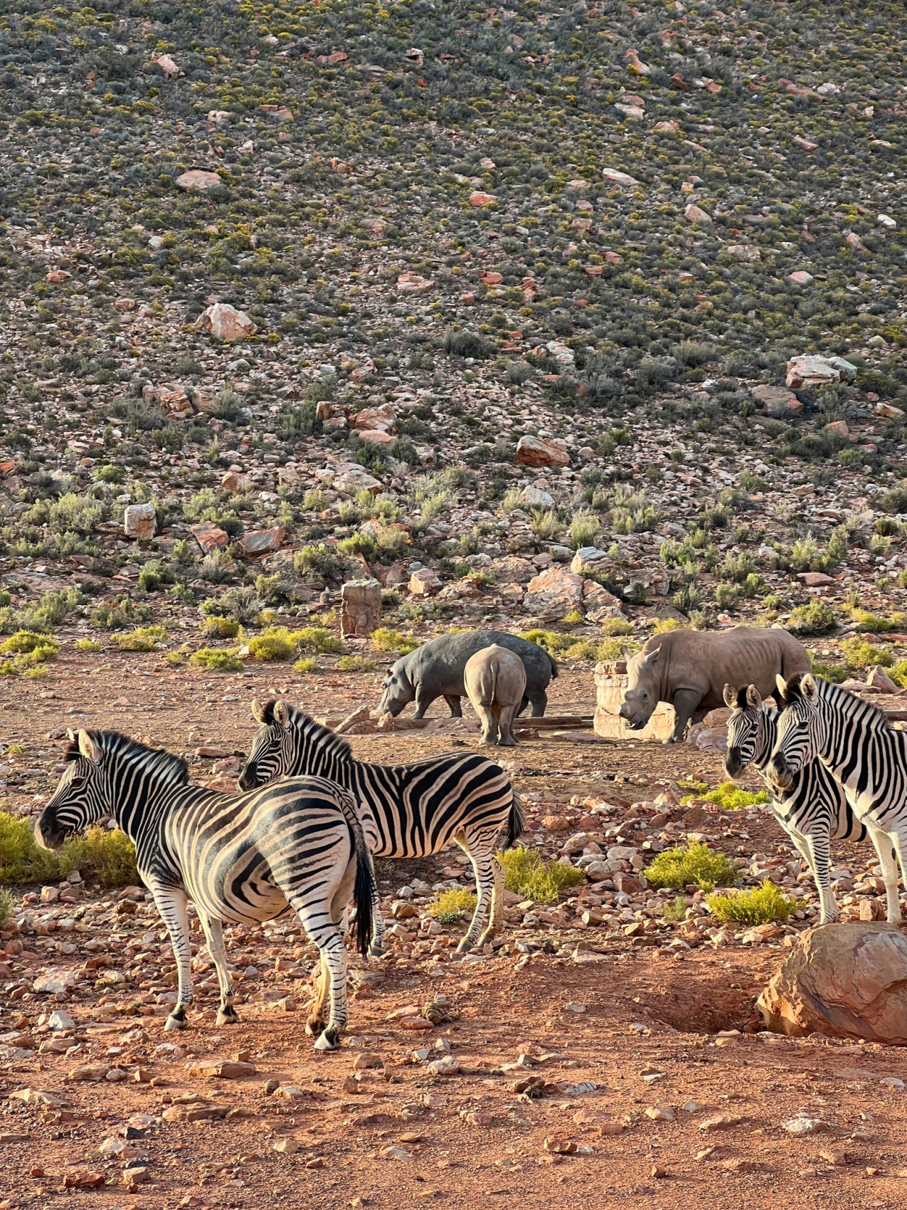 Юар: Путешествие на край Земли (77/124)