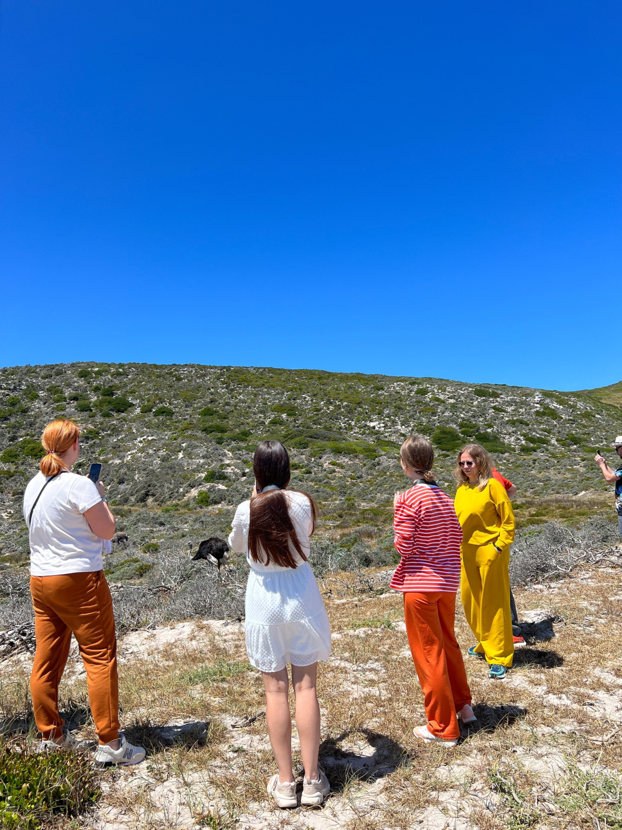 Юар: Путешествие на край Земли (63/124)