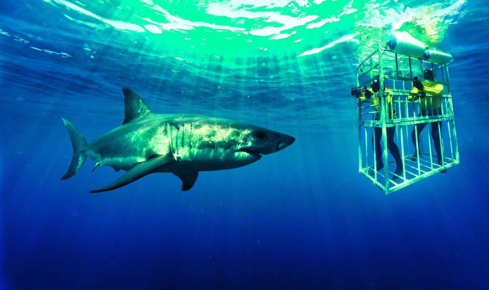 Юар: Путешествие на край Земли (18/124)