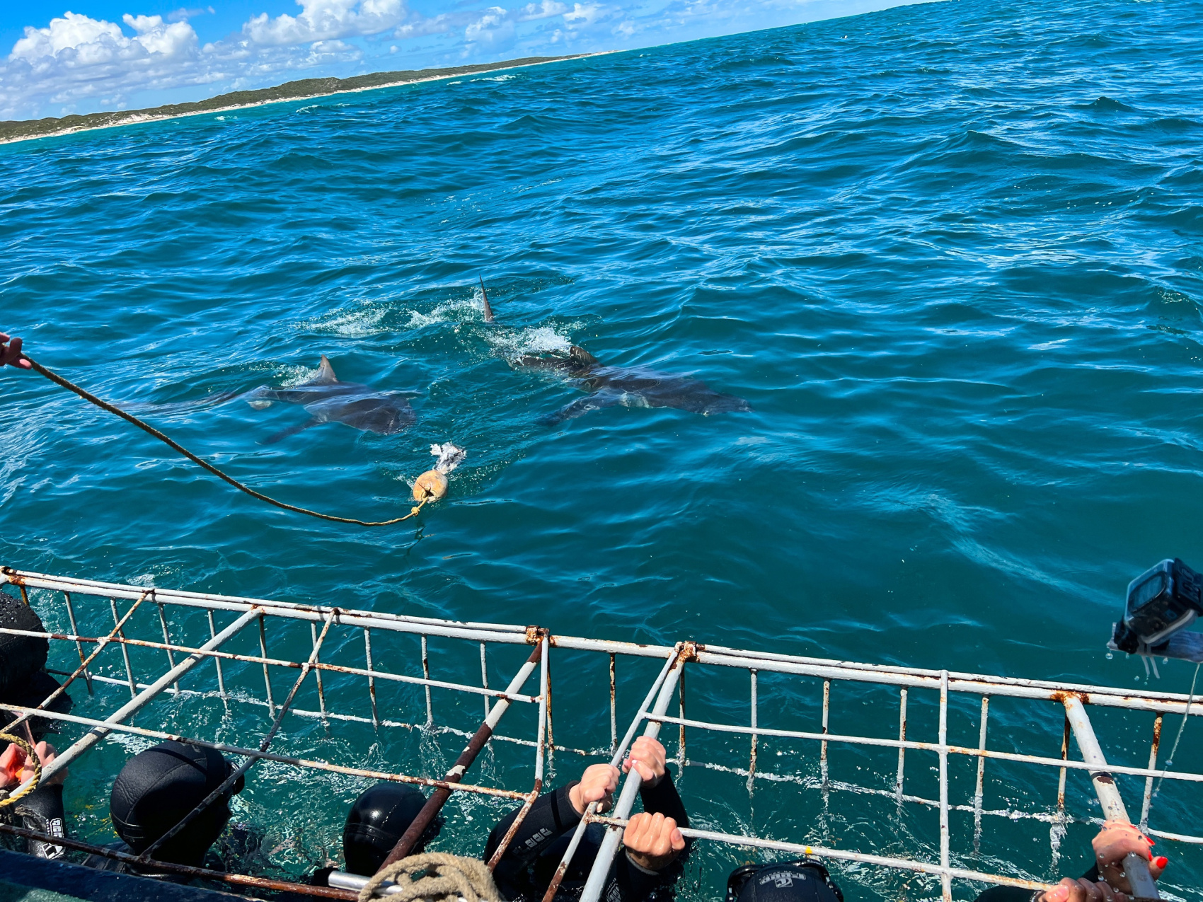 Юар: Путешествие на край Земли (45/124)