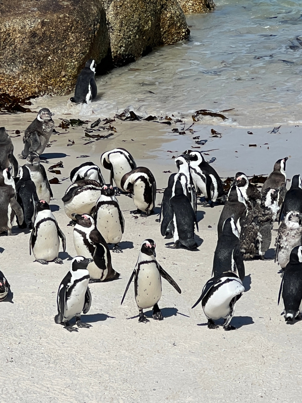 Юар: Путешествие на край Земли (57/124)