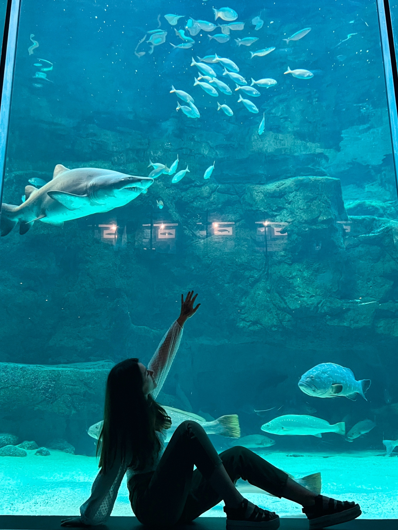 Юар: Путешествие на край Земли (47/124)