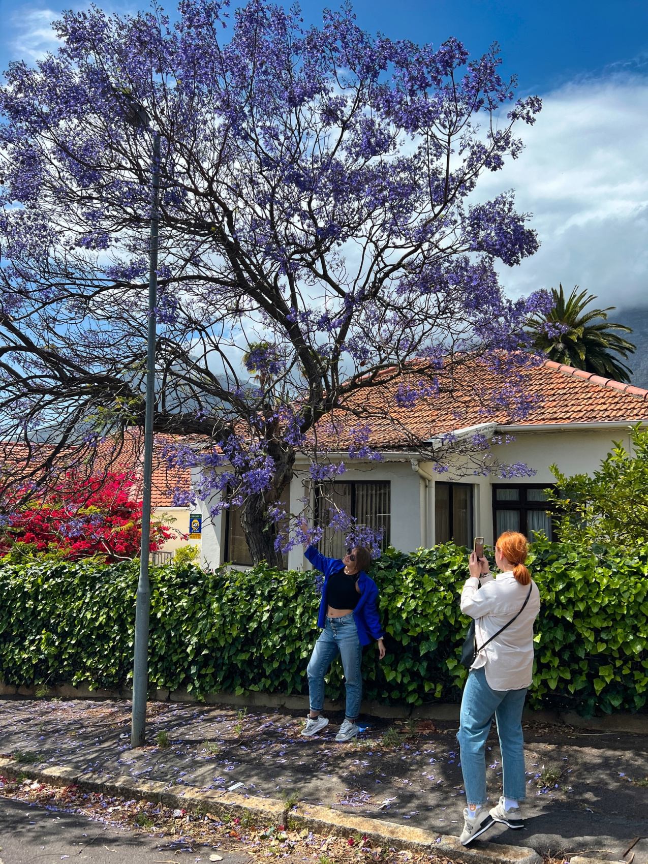 Юар: Путешествие на край Земли (58/124)