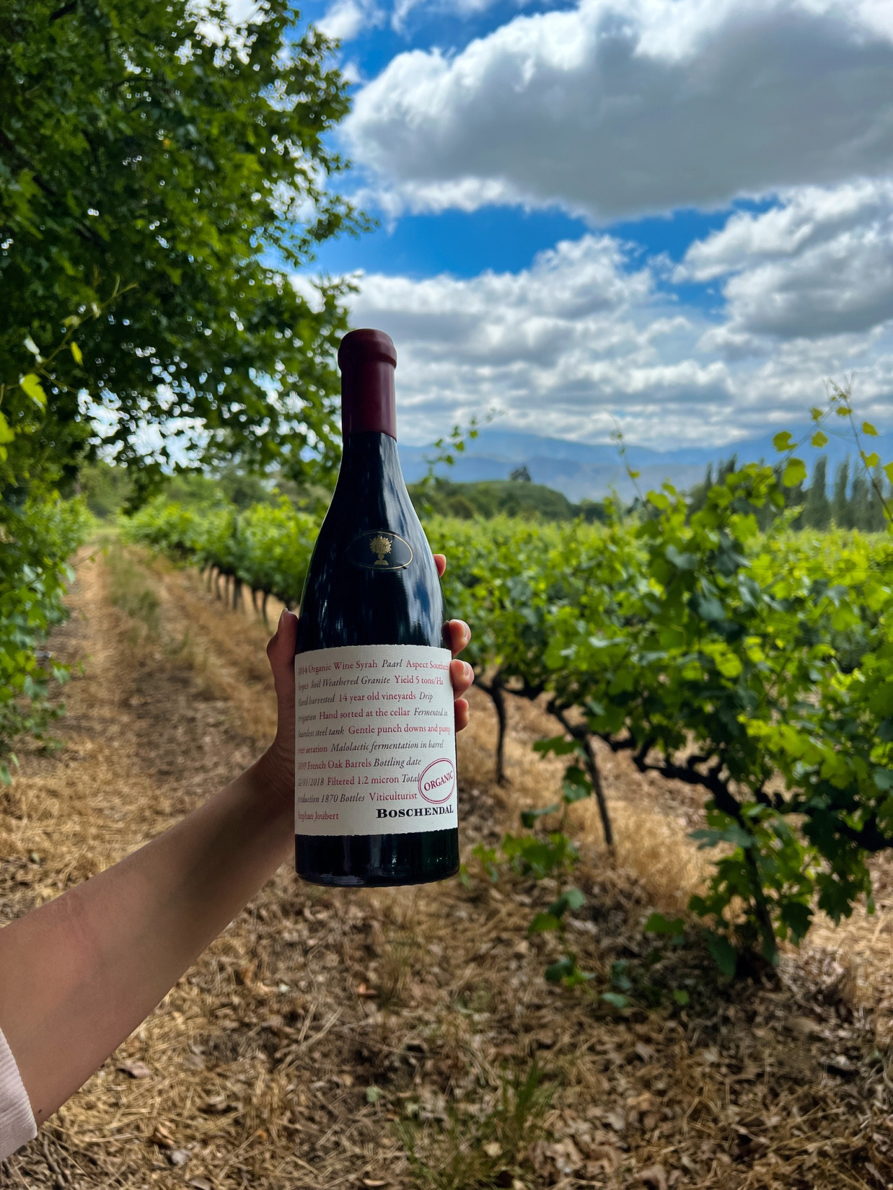 Юар: Путешествие на край Земли (61/124)