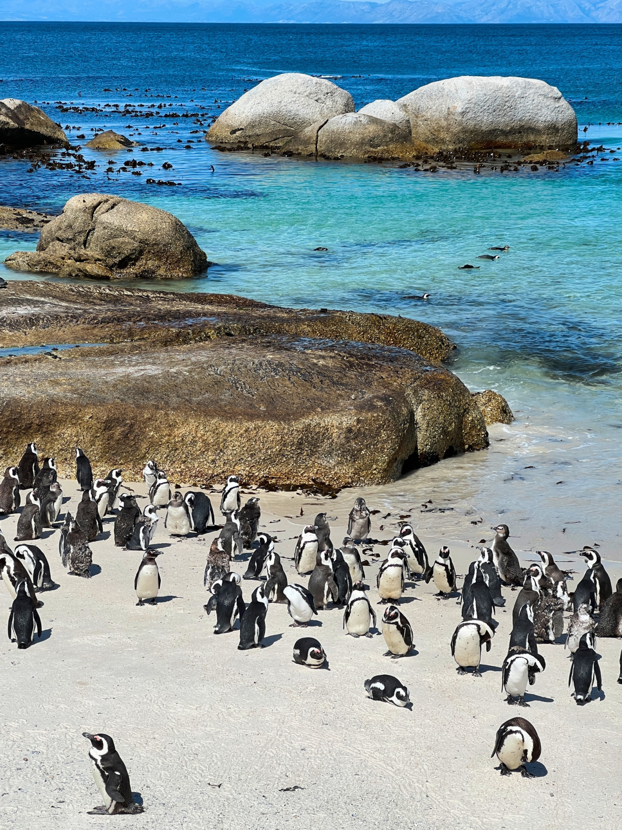 Юар: Путешествие на край Земли (54/124)