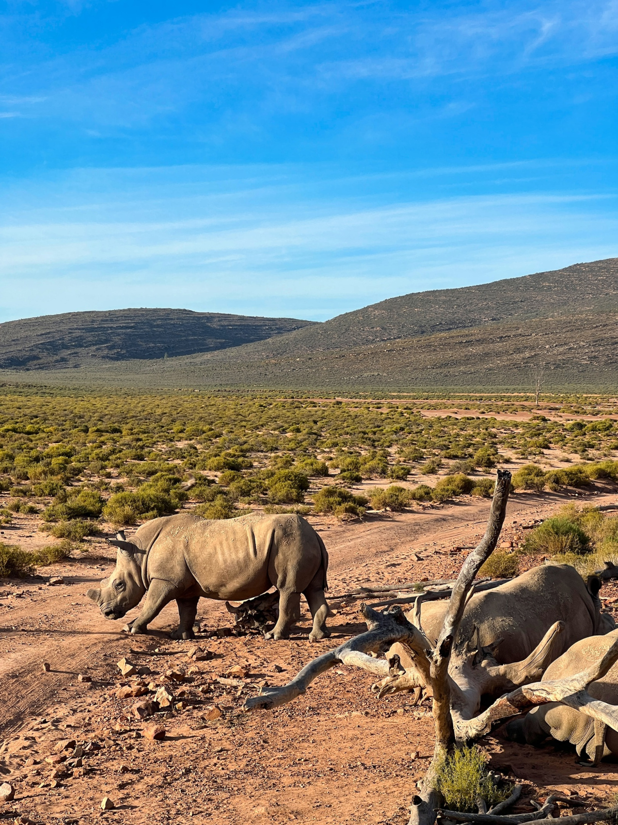 Юар: Путешествие на край Земли (55/124)