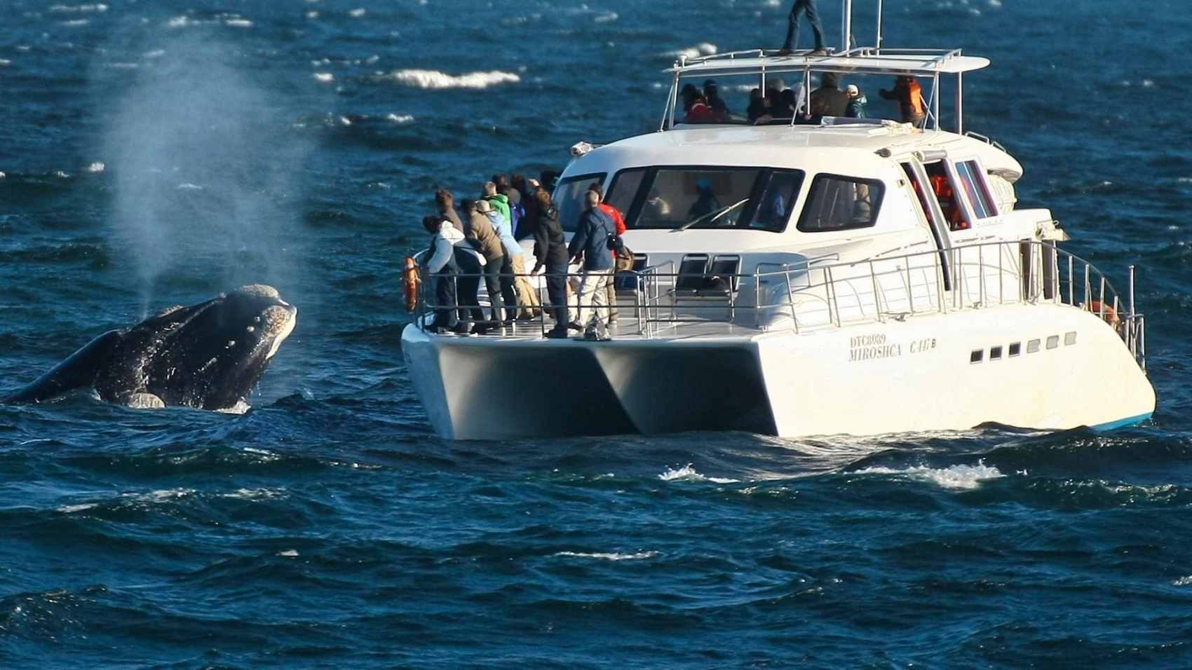 Юар: Путешествие на край Земли (22/124)