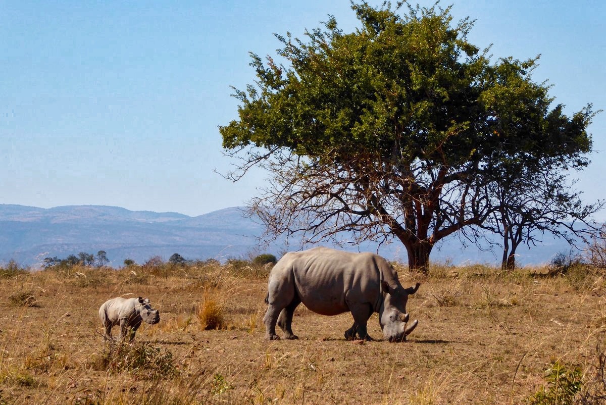 Юар: Путешествие на край Земли (36/124)