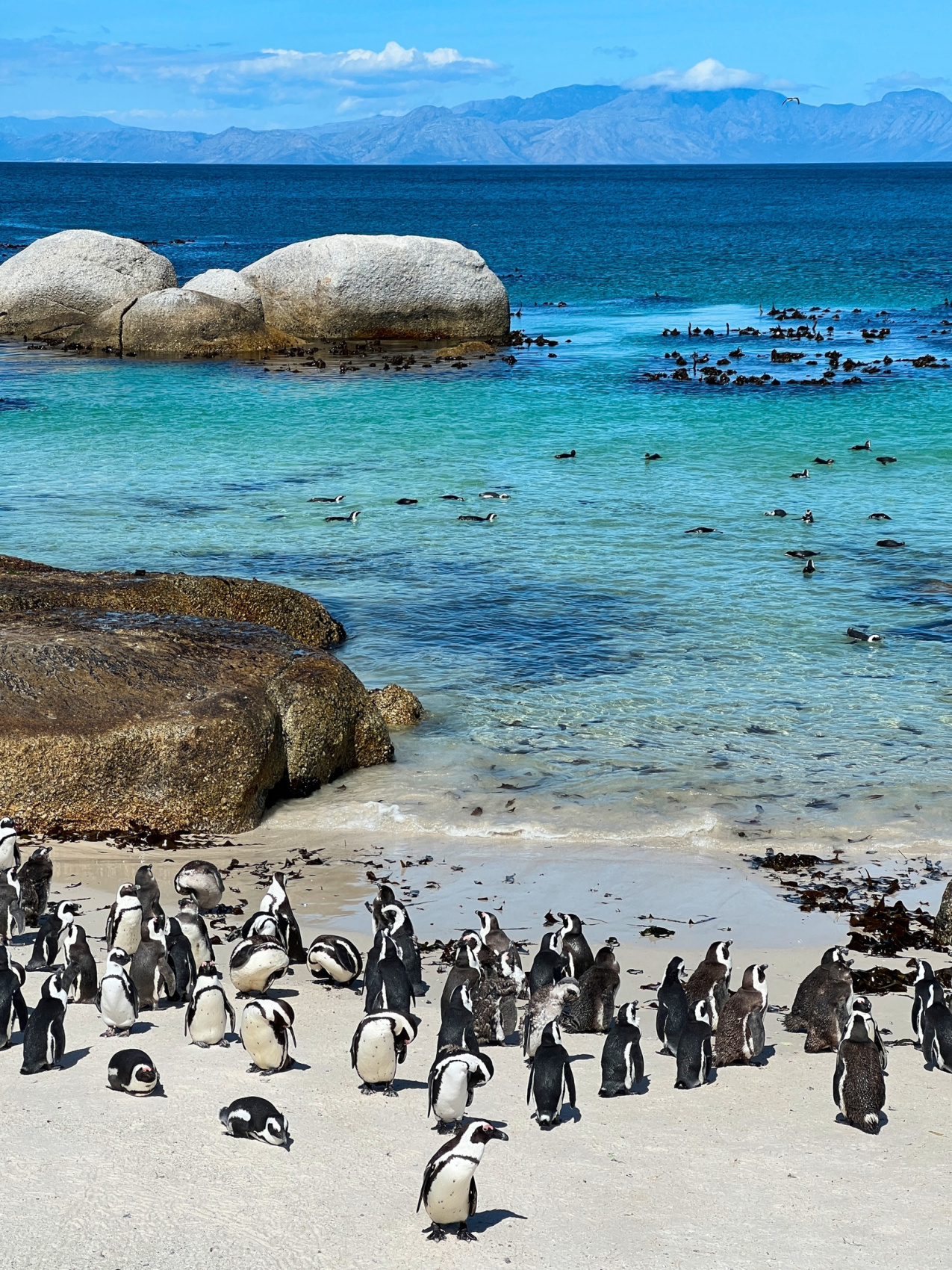 Юар: Путешествие на край Земли (59/124)