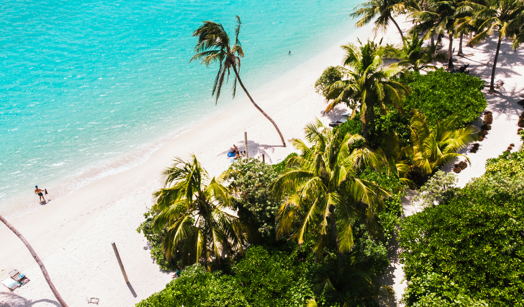 Тропическая дача: райский дайвинг, акулы и релакс (13/133)