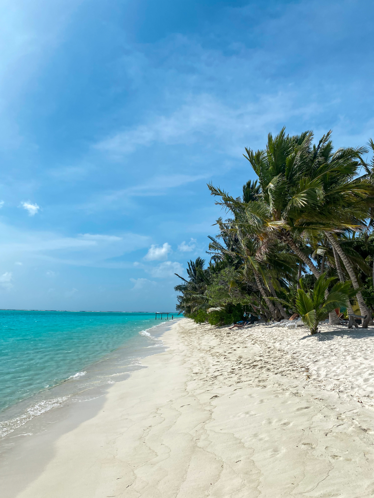 Тропическая дача: райский дайвинг, акулы и релакс (22/133)