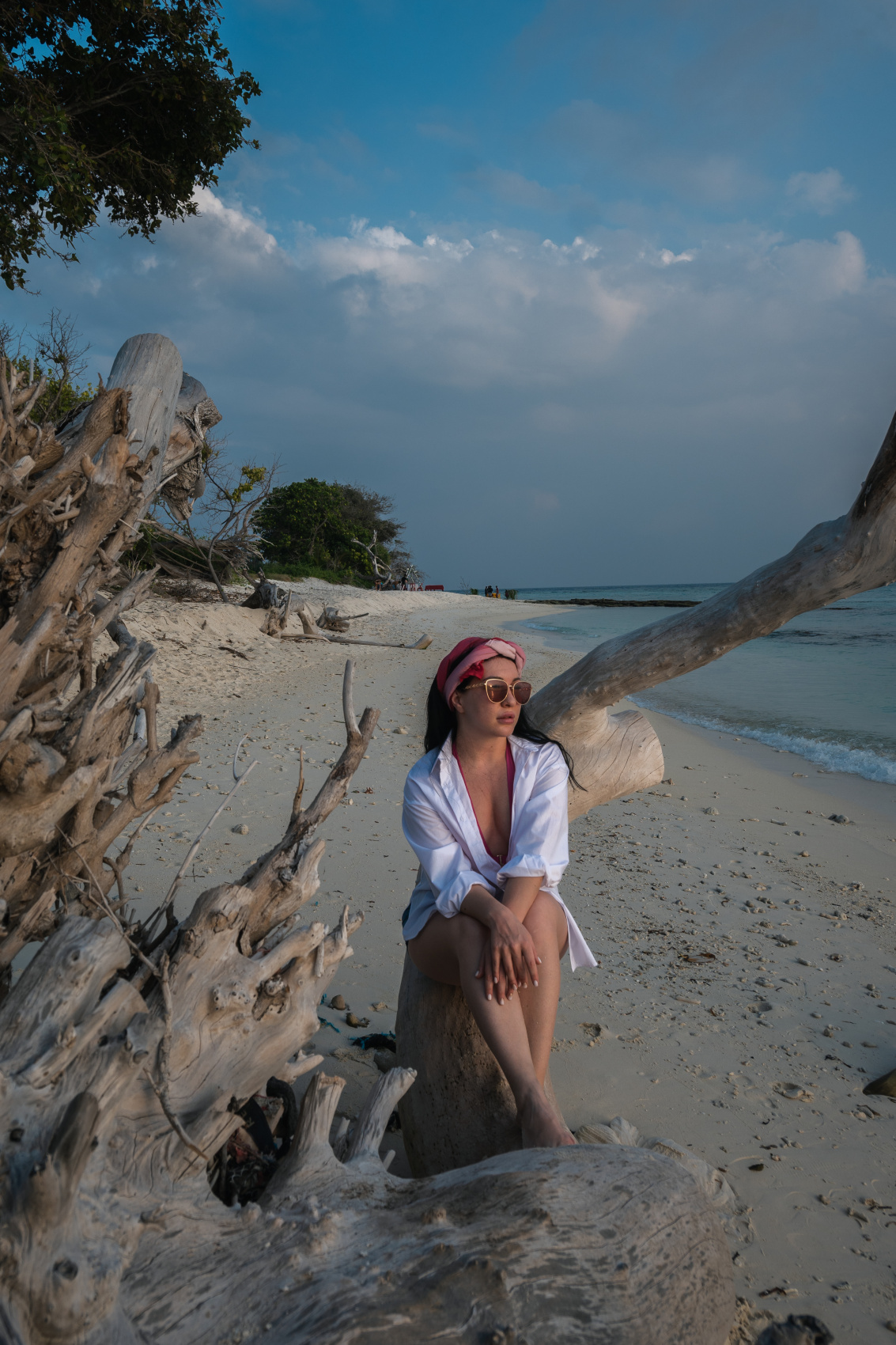 Тропическая дача: райский дайвинг, акулы и релакс (40/133)