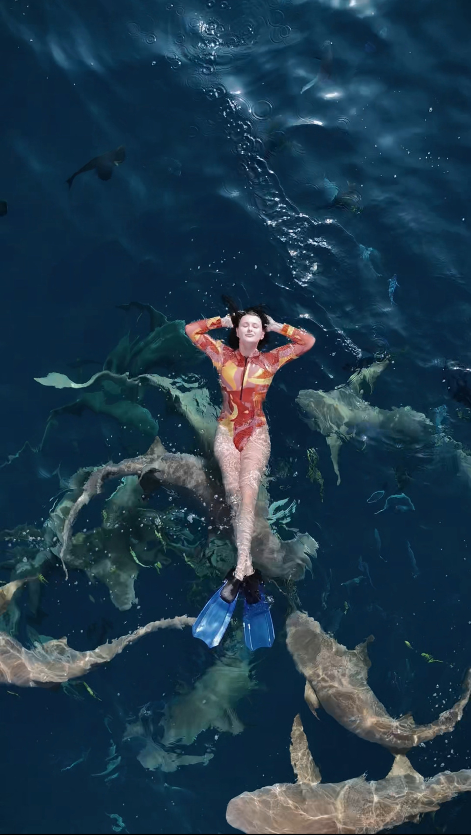 Тропическая дача: райский дайвинг, акулы и релакс (92/133)