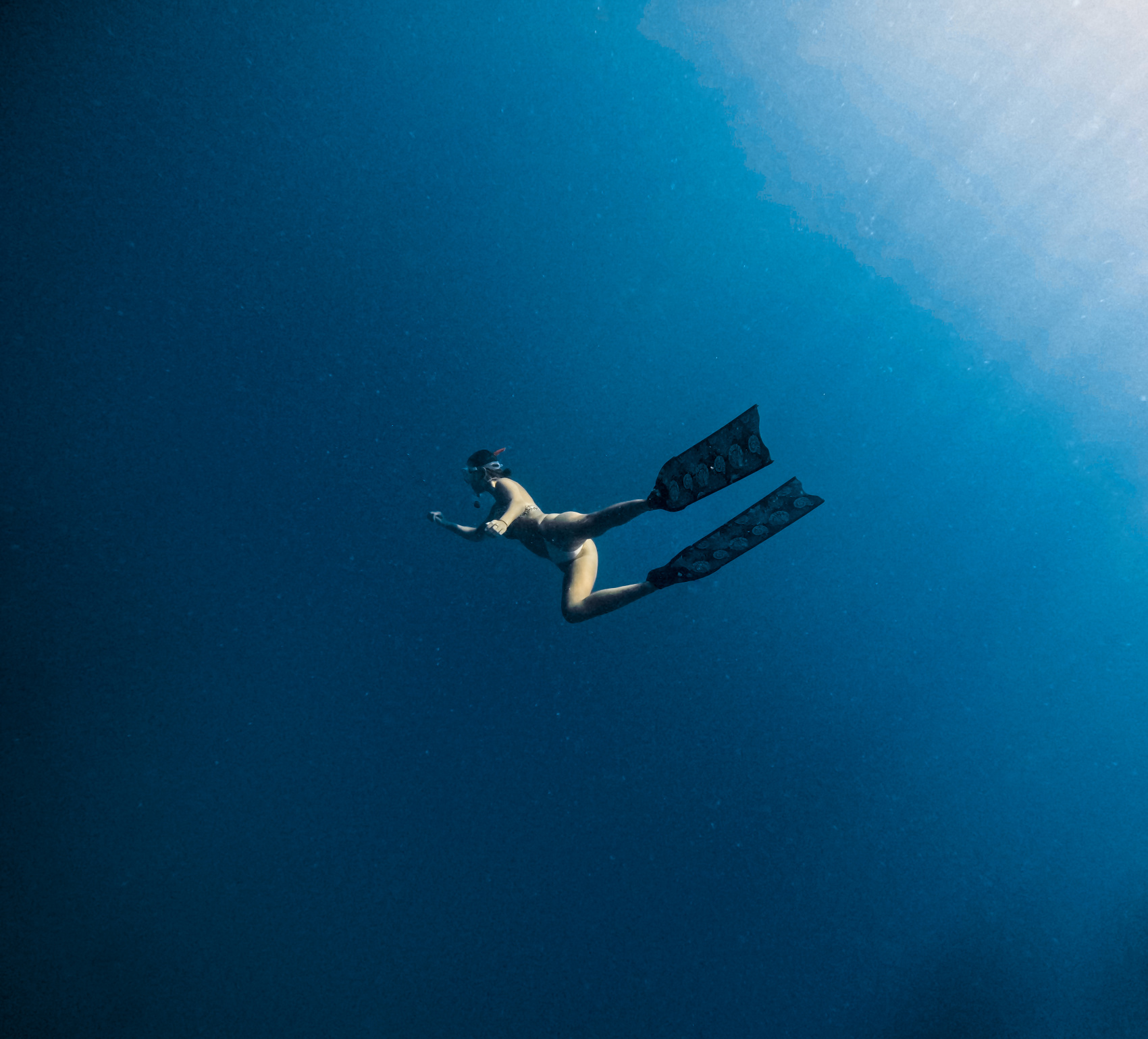 Тропическая дача: райский дайвинг, акулы и релакс (82/133)