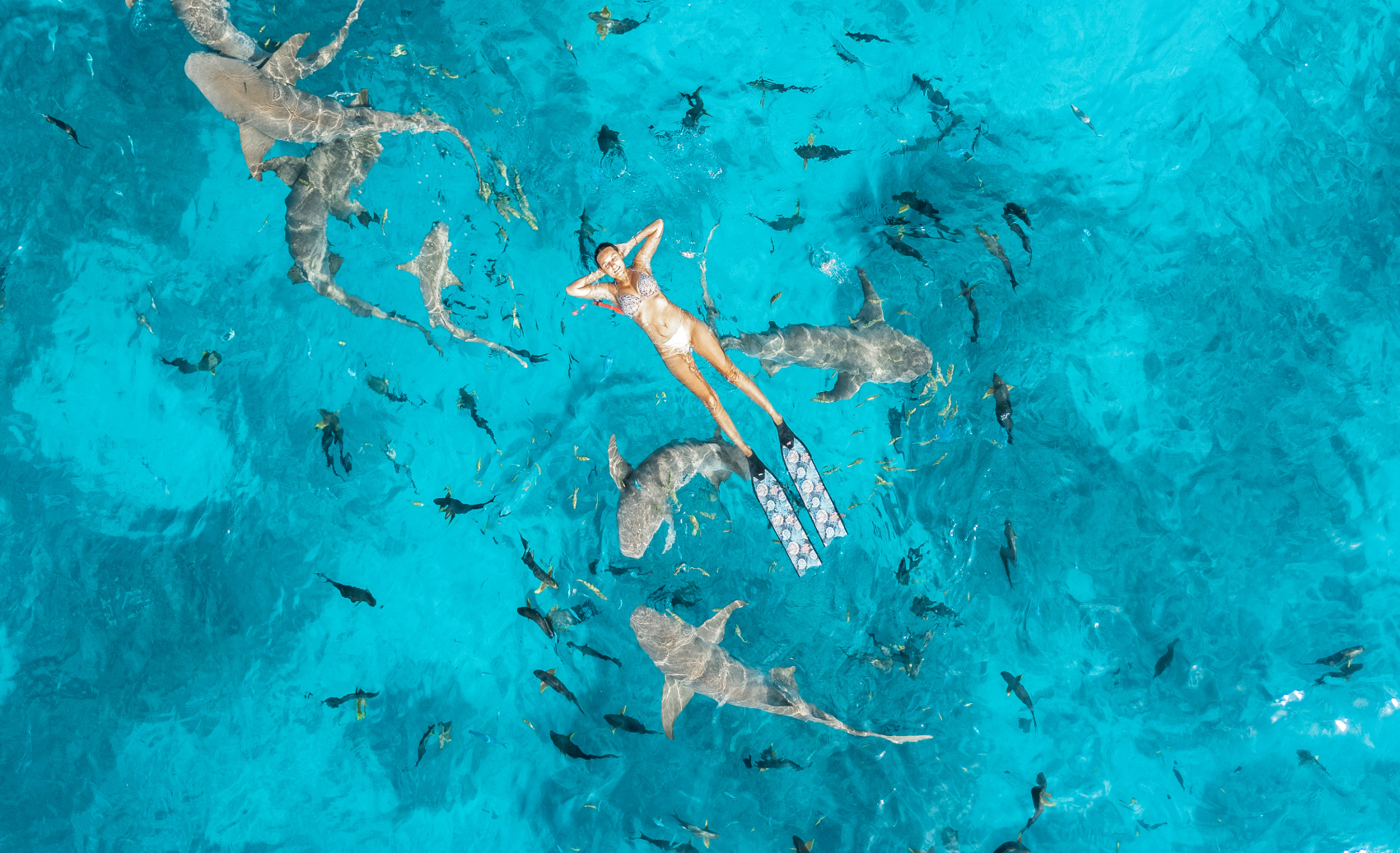 Тропическая дача: райский дайвинг, акулы и релакс (84/133)