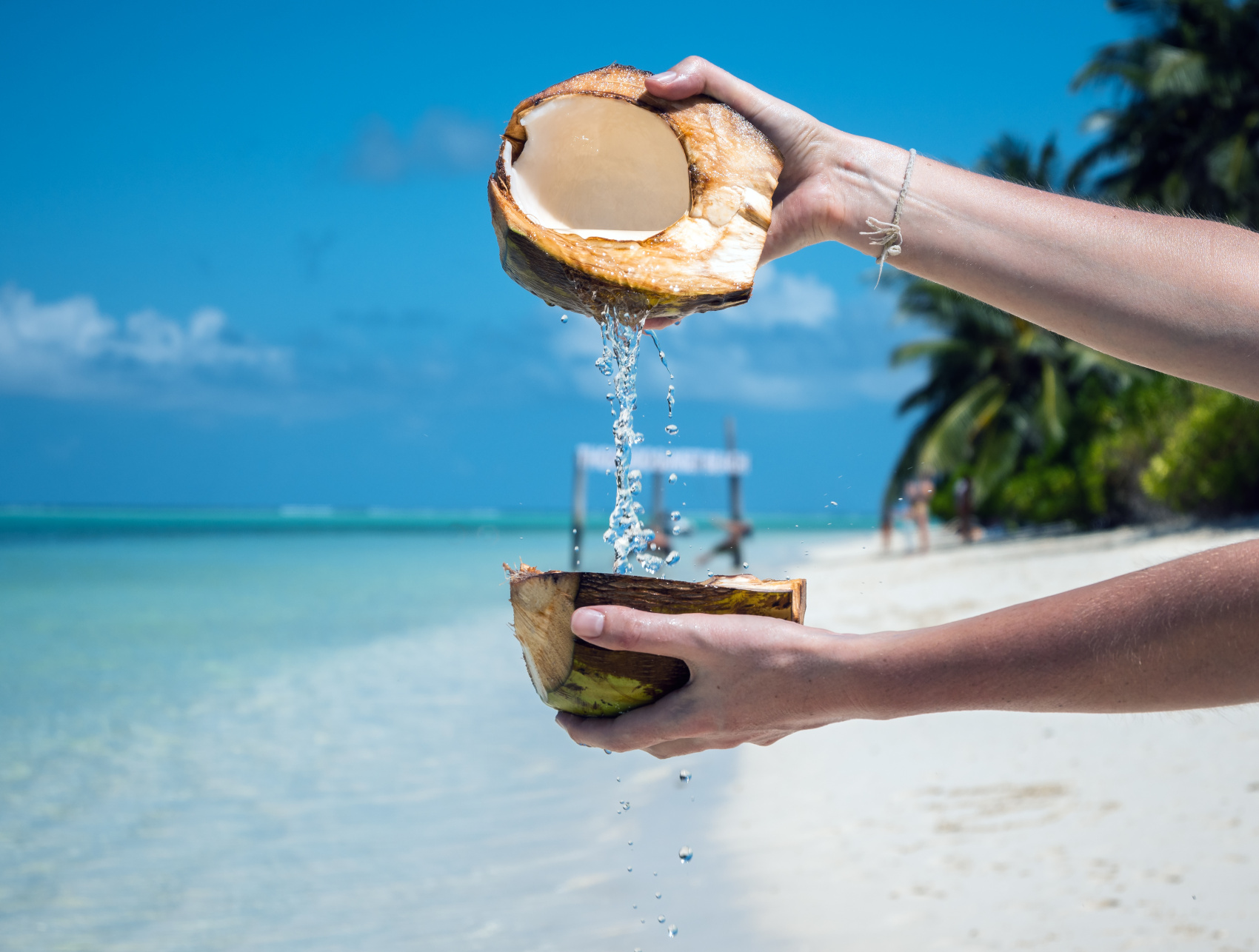 Тропическая дача: райский дайвинг, акулы и релакс (44/133)