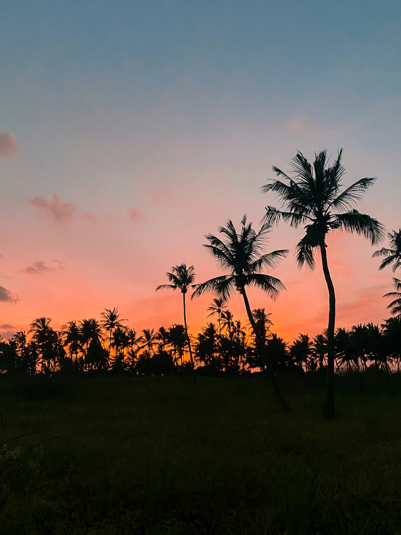 Тропическая дача: райский дайвинг, акулы и релакс (34/133)