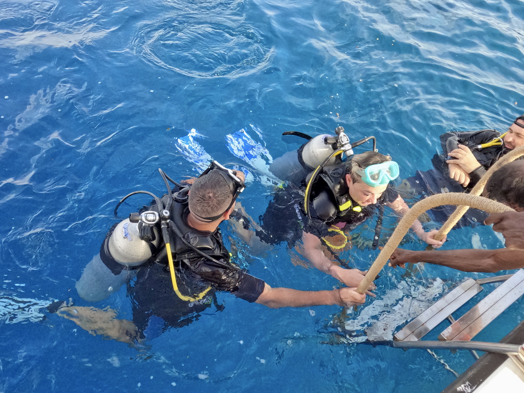 Тропическая дача: райский дайвинг, акулы и релакс (61/133)