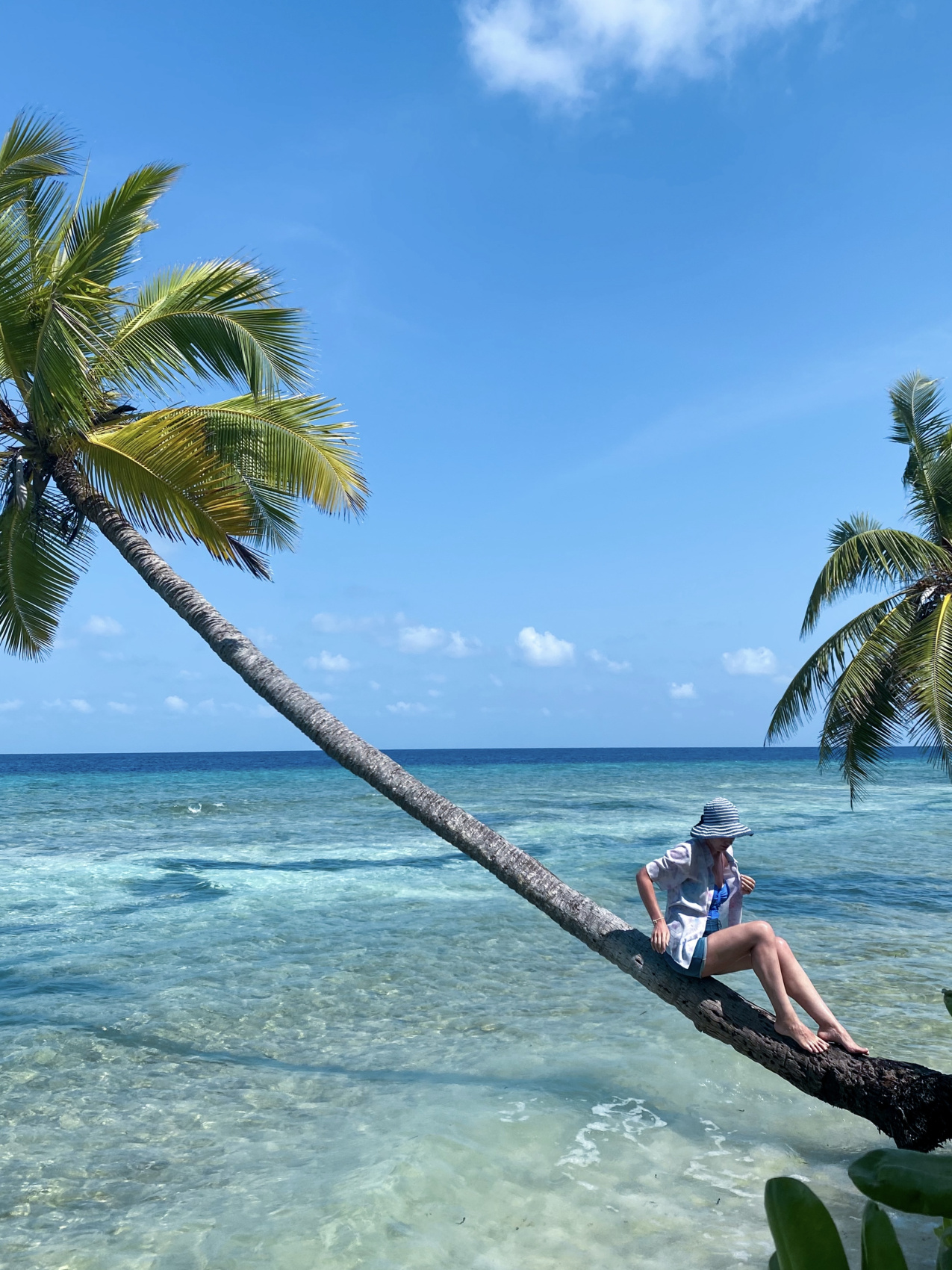 Тропическая дача: райский дайвинг, акулы и релакс (46/133)