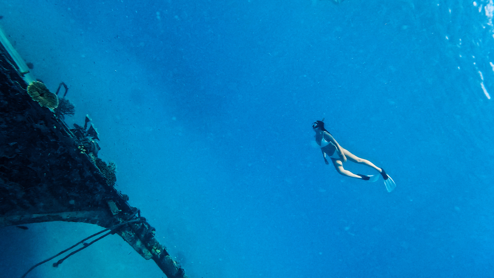 Тропическая дача: райский дайвинг, акулы и релакс (79/133)