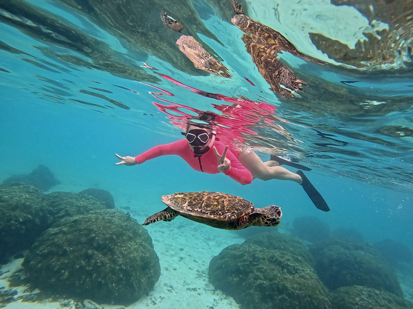 Тропическая дача: райский дайвинг, акулы и релакс (78/133)