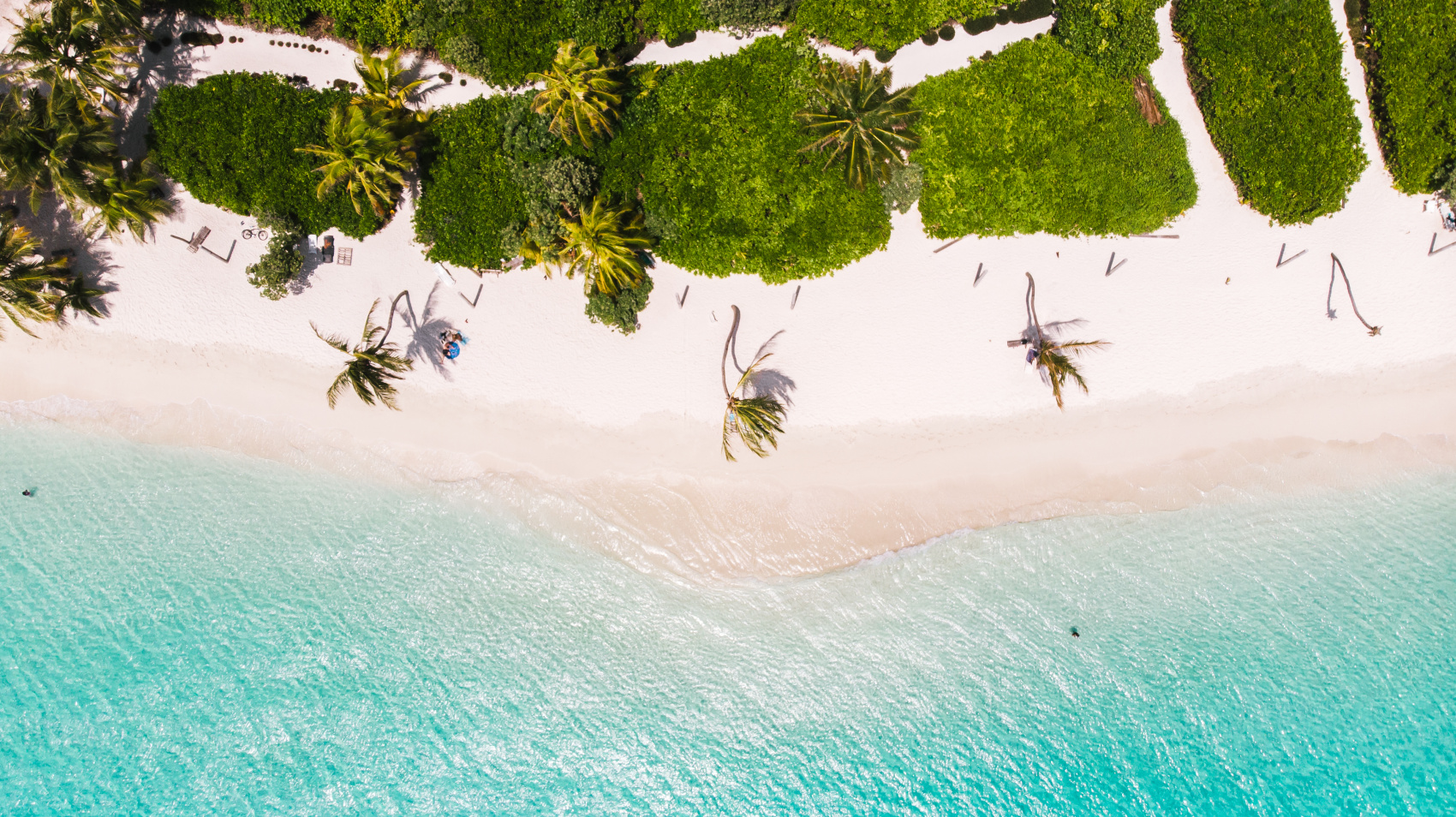 Тропическая дача: райский дайвинг, акулы и релакс (14/133)