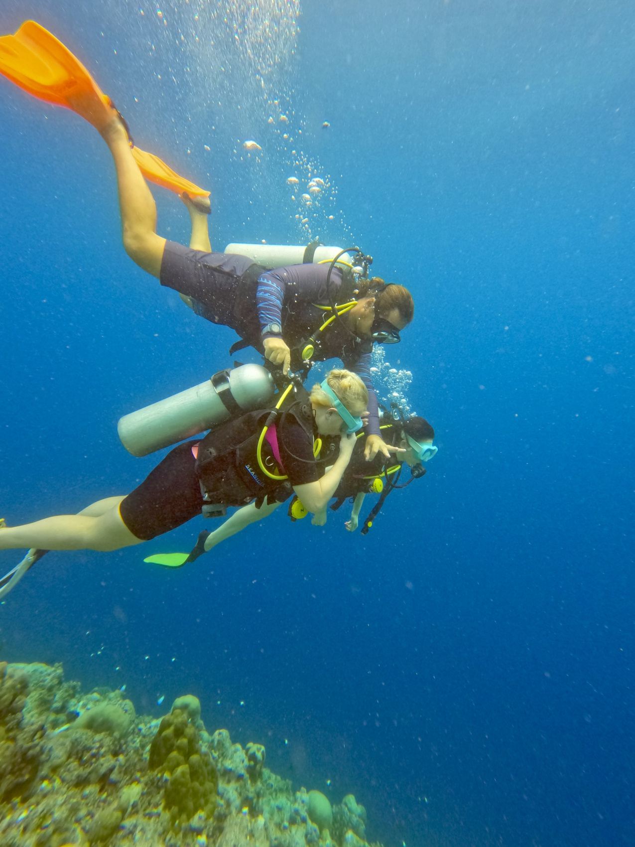 Тропическая дача: райский дайвинг, акулы и релакс (7/133)