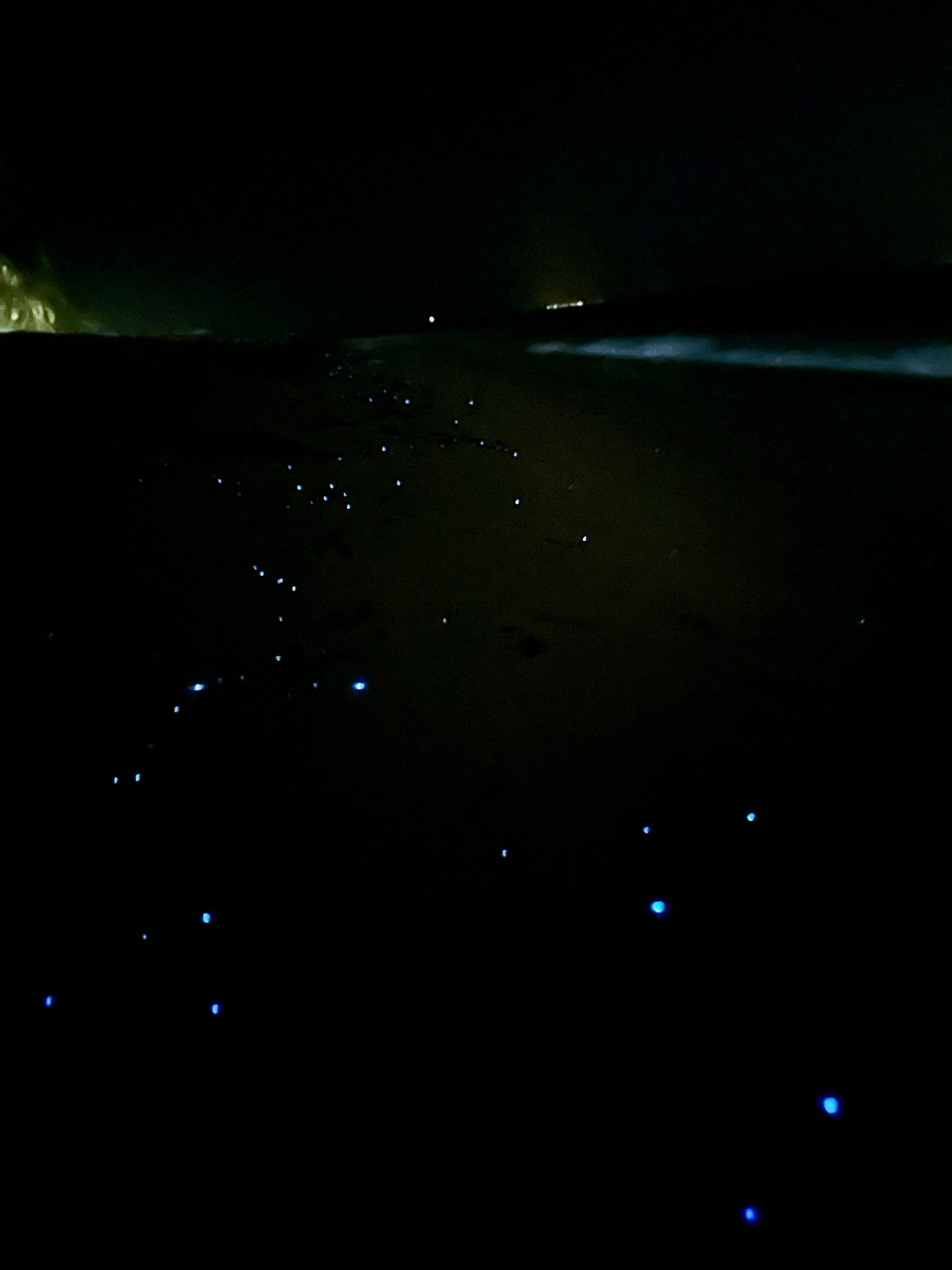 Тропическая дача: райский дайвинг, акулы и релакс (48/133)