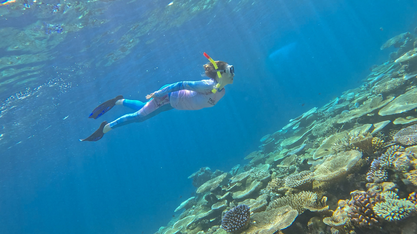 Тропическая дача: райский дайвинг, акулы и релакс (86/133)