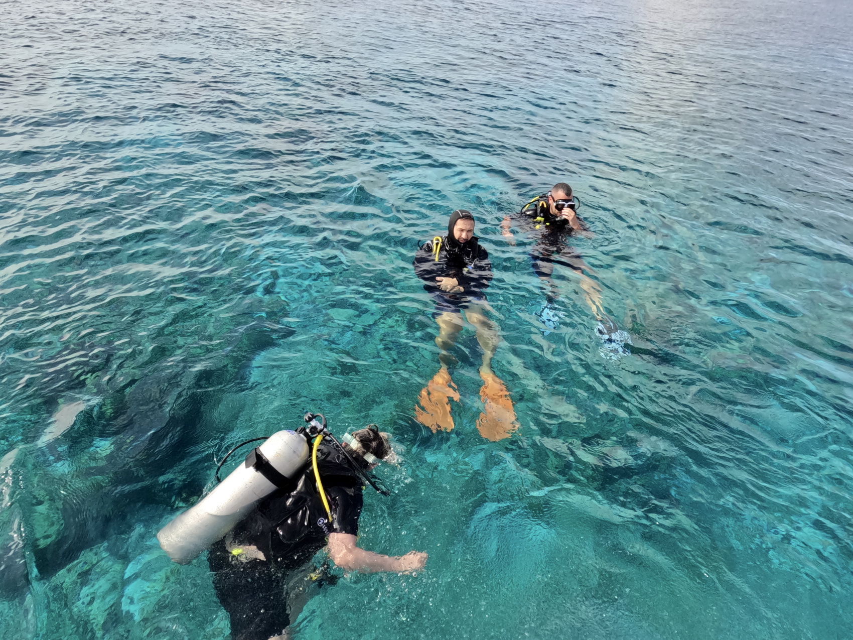Тропическая дача: райский дайвинг, акулы и релакс (58/133)