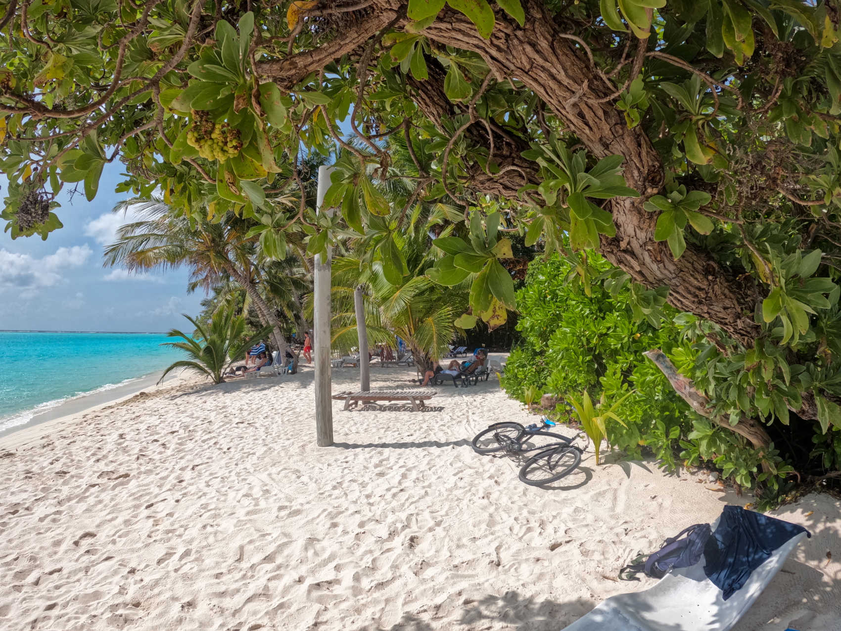 Тропическая дача: райский дайвинг, акулы и релакс (15/133)