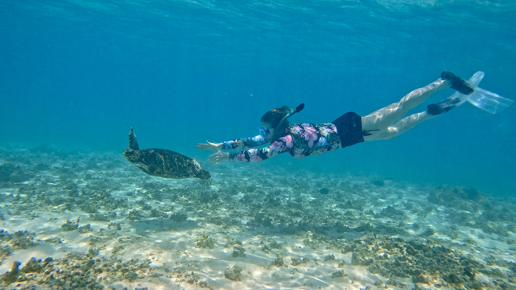 Тропическая дача: райский дайвинг, акулы и релакс (89/133)