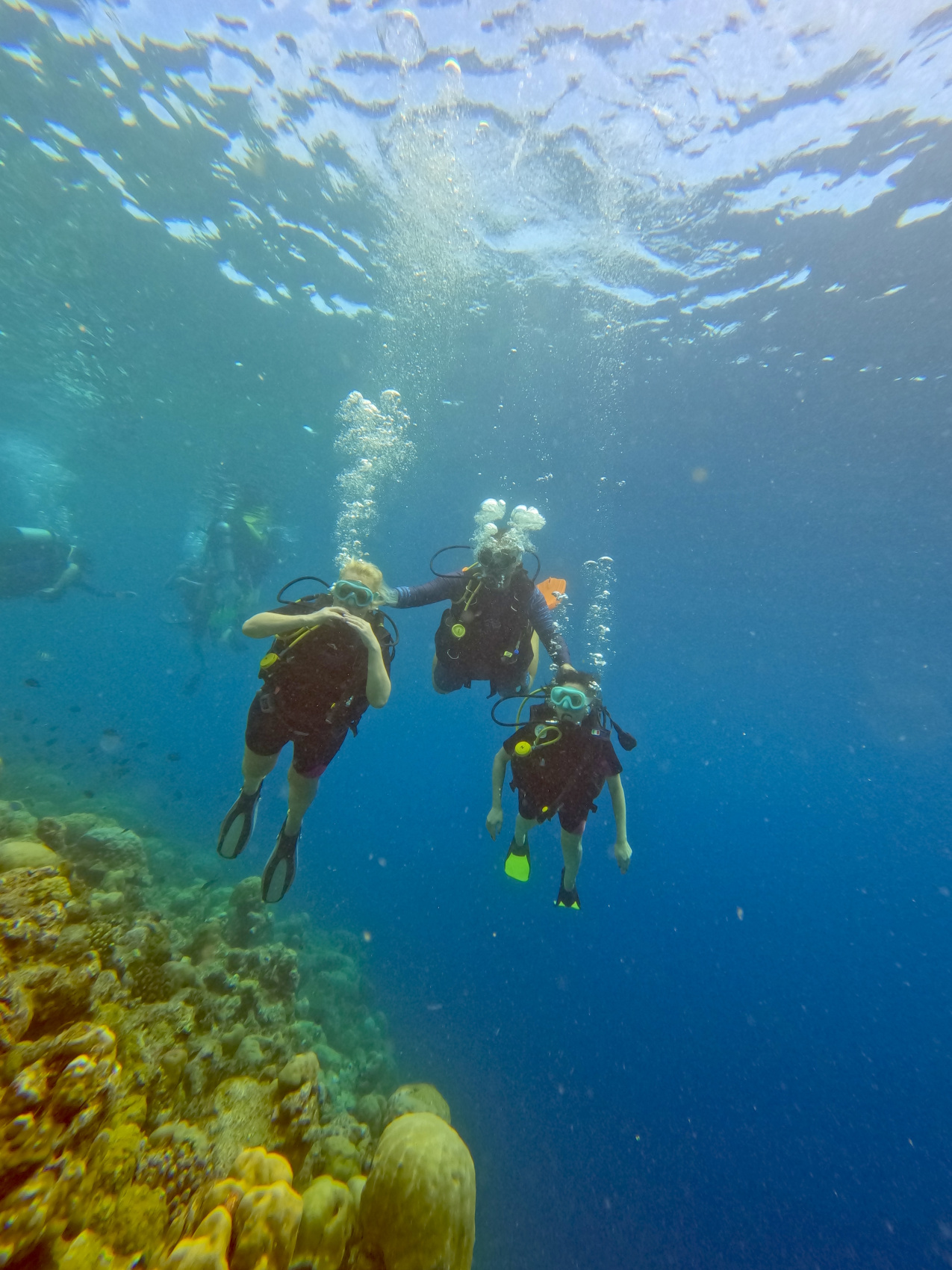 Тропическая дача: райский дайвинг, акулы и релакс (9/133)