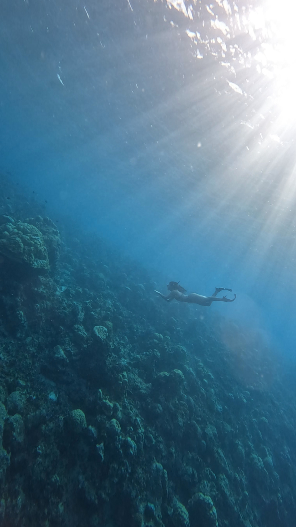 Тропическая дача: райский дайвинг, акулы и релакс (66/133)