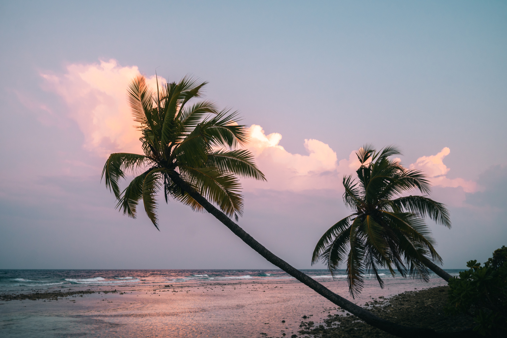 Тропическая дача: райский дайвинг, акулы и релакс (42/133)