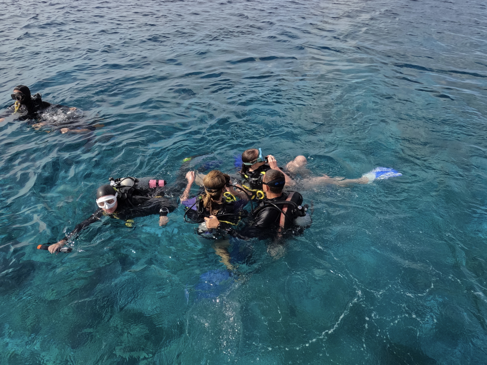 Тропическая дача: райский дайвинг, акулы и релакс (67/133)