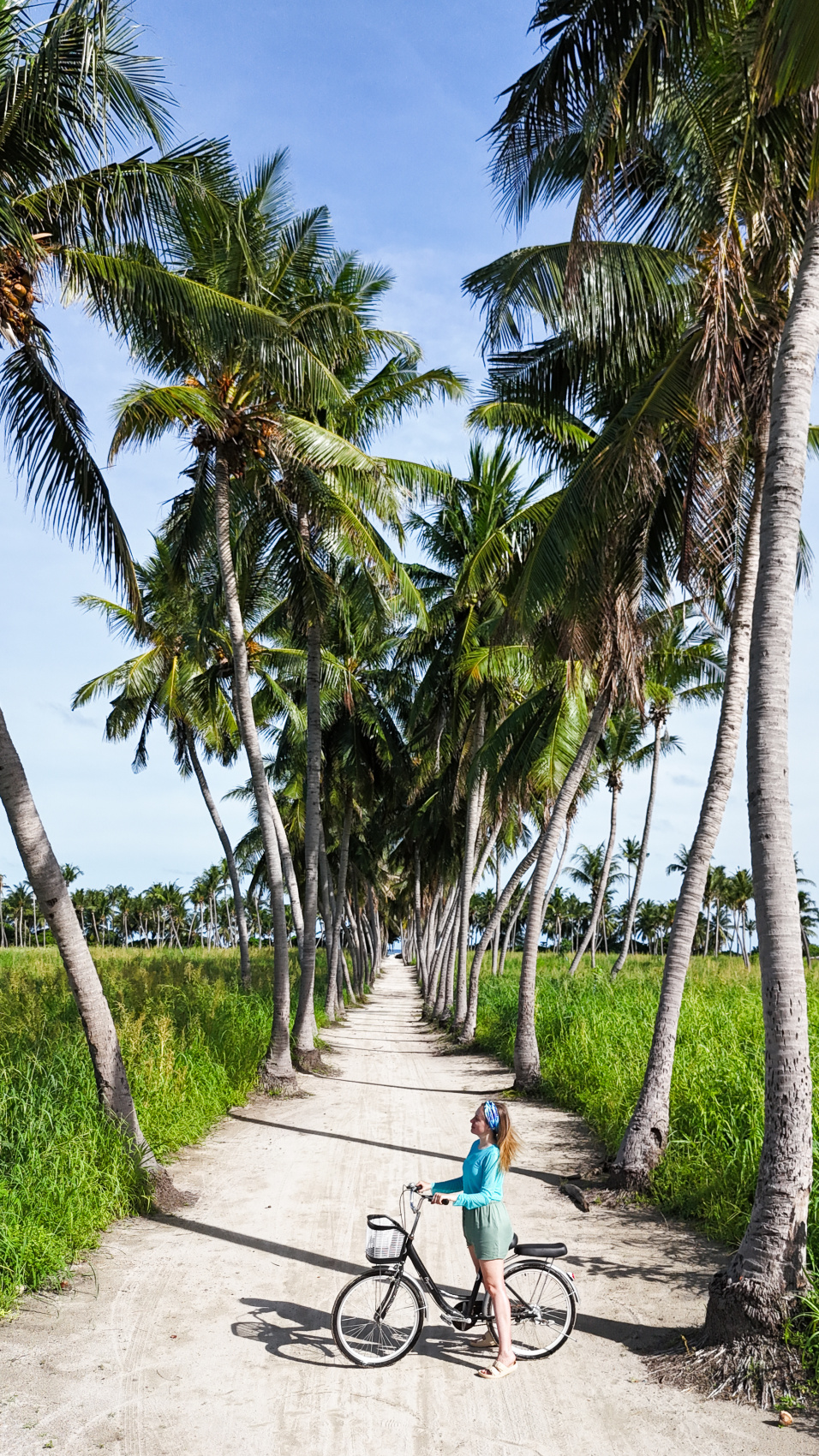 Тропическая дача: райский дайвинг, акулы и релакс (83/133)